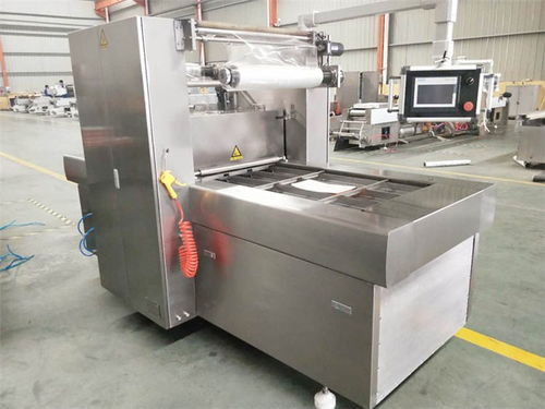 上海雙室擺蓋真空包裝機聯系電話 質量放心可靠，優選諸城廣元機械設備